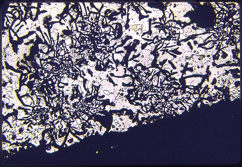 Ferritic grey cast iron at 100X Nital etch