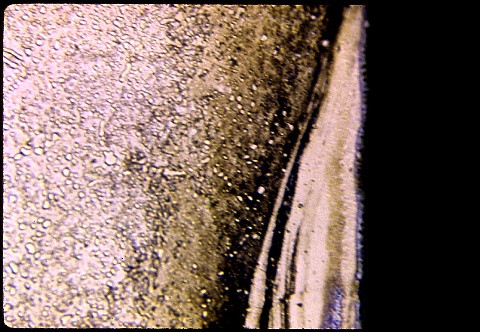 Abrasively cut tool steel at 500X etched